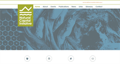 Desktop Screenshot of naturalcapitalinitiative.org.uk